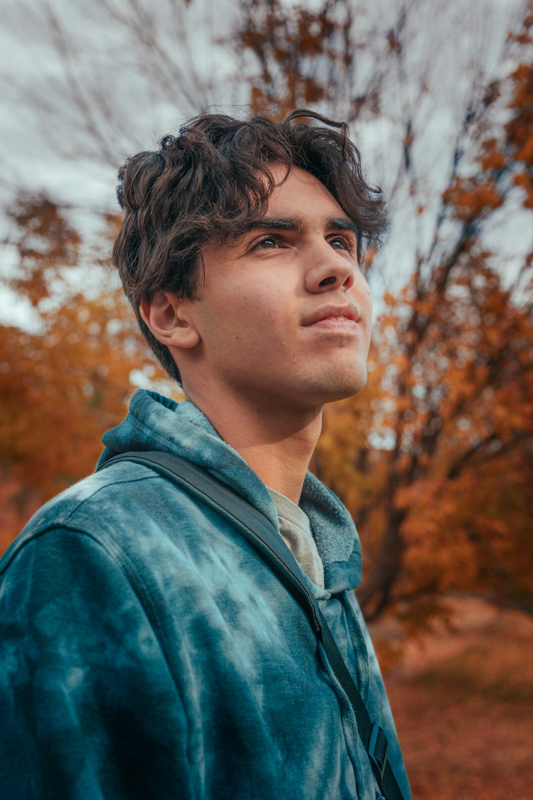 Portrait of a young man with dark hair in a casual shirt